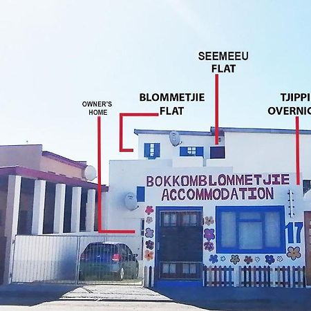 Bokkomblommetjie Lambertʼs Bay Dış mekan fotoğraf