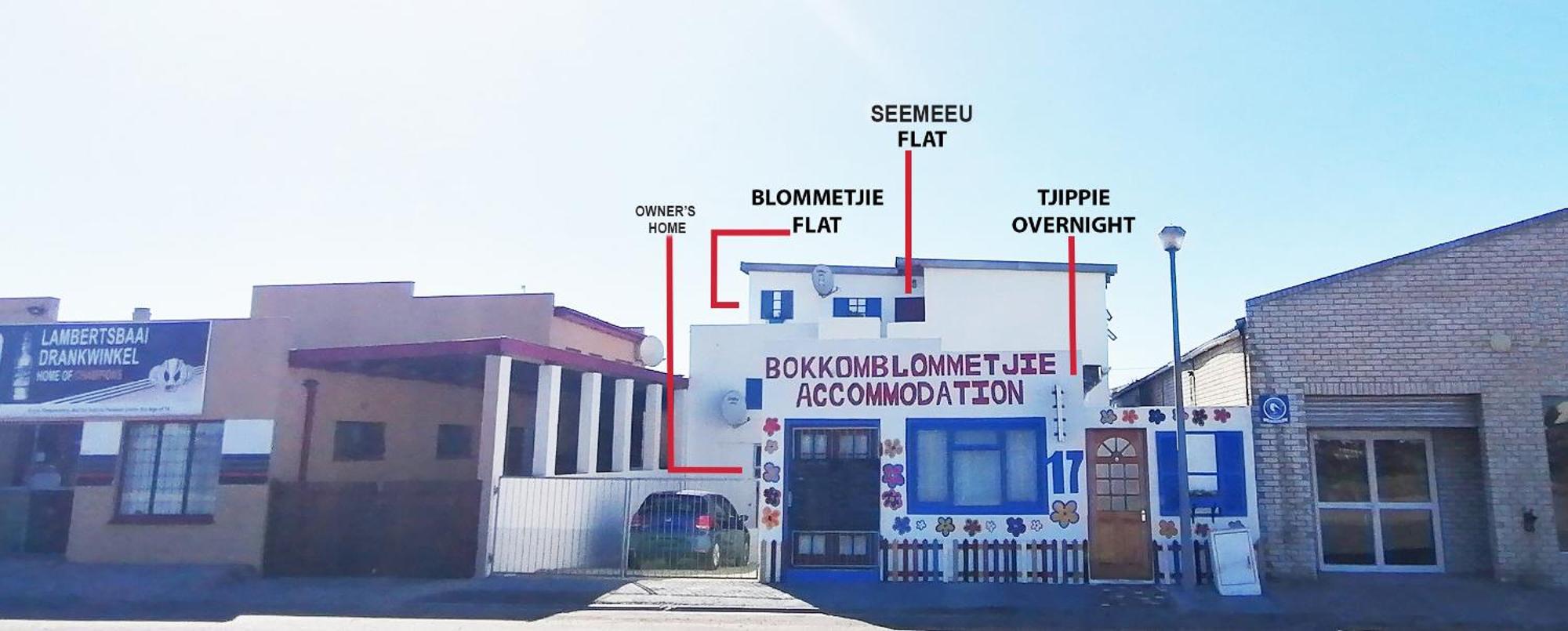 Bokkomblommetjie Lambertʼs Bay Dış mekan fotoğraf
